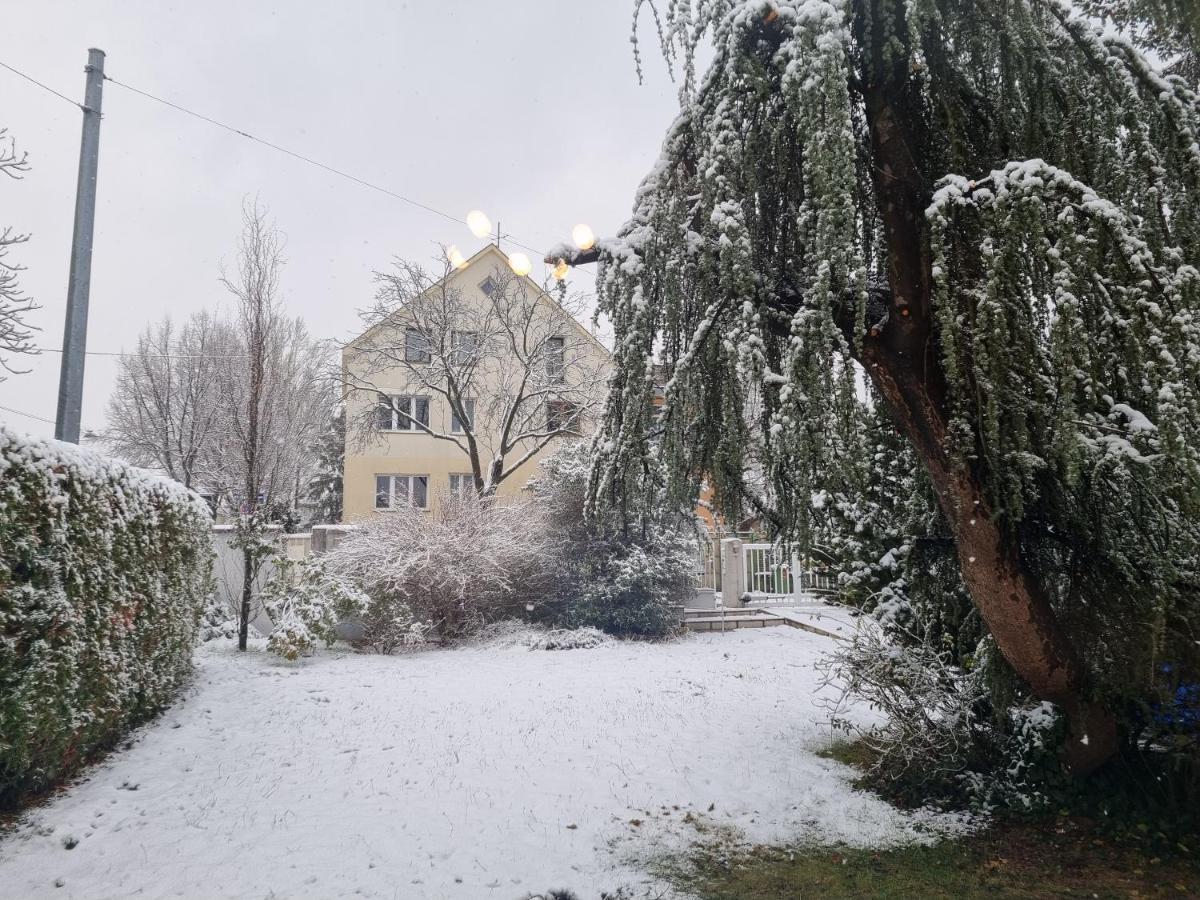 Villa With Private Sauna And Jacuzzi, 8 Min From Schloss Schoebrunn Bécs Kültér fotó